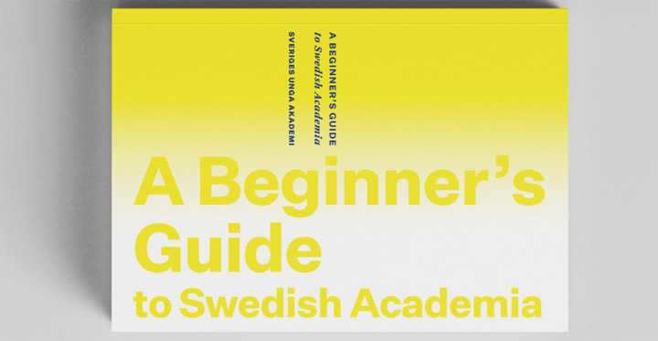 Cover of A Beginner's Guide to Swedish Academia