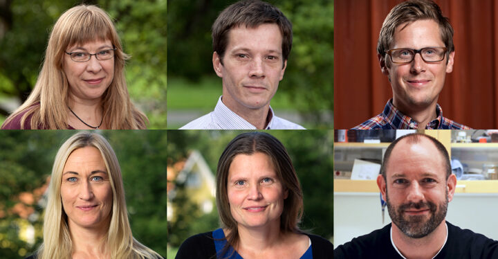Ledamöter i Sveriges unga akademi