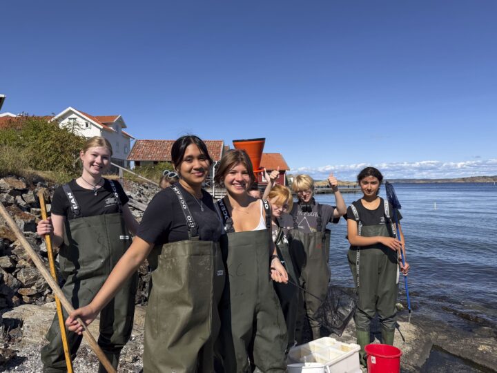 Forskarmöten_2026_76