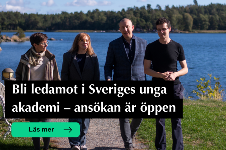 Ledamöter promenerar vid vattnet
